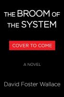 The Broom of the System